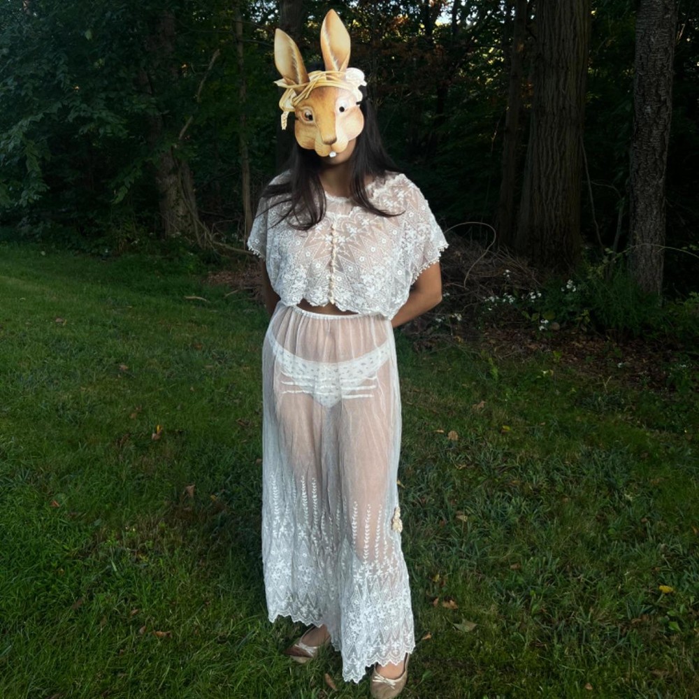 antique sheer embroidered net lace ensemble