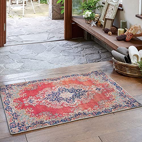 Maila Non-Slip Washable Doormat 2x3 Rubber Backed for Kitchen Entryway