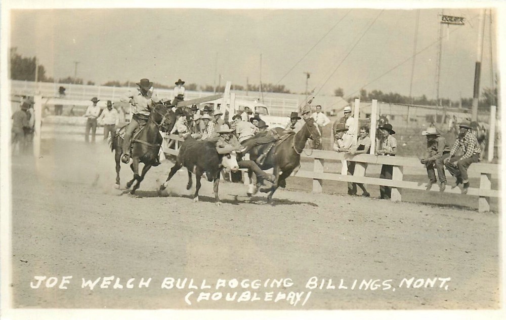 1920s Billings Montana Cowboy Rodeo Joe Welch Bull Fogging Postcard 25-1139