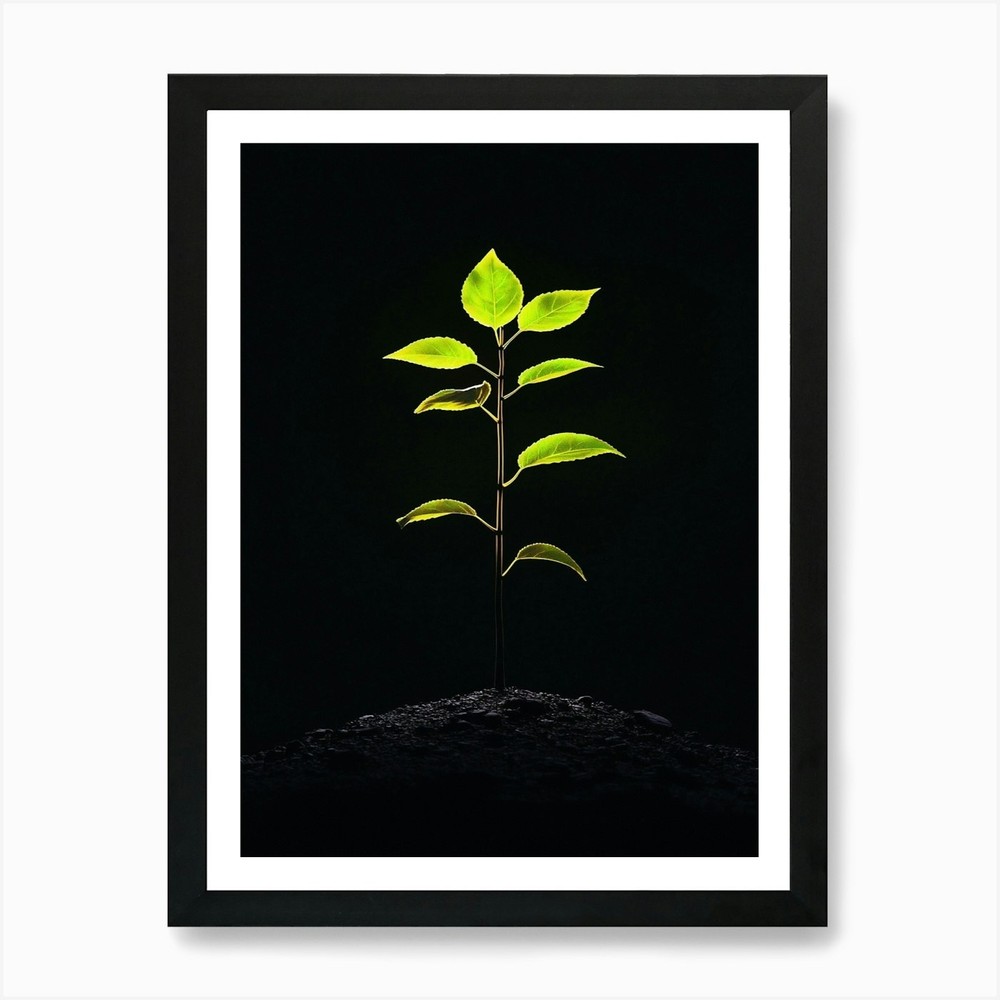 Tree In The Dark 45 Art Print Framed Wall Art Poster Canvas Print Picture