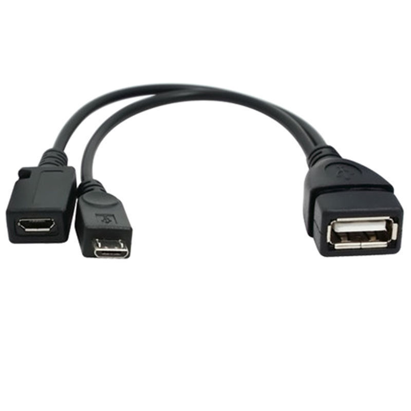 Get 2 USB OTG Adapters for Amazon Fire Stick – Limited Time Offer-image