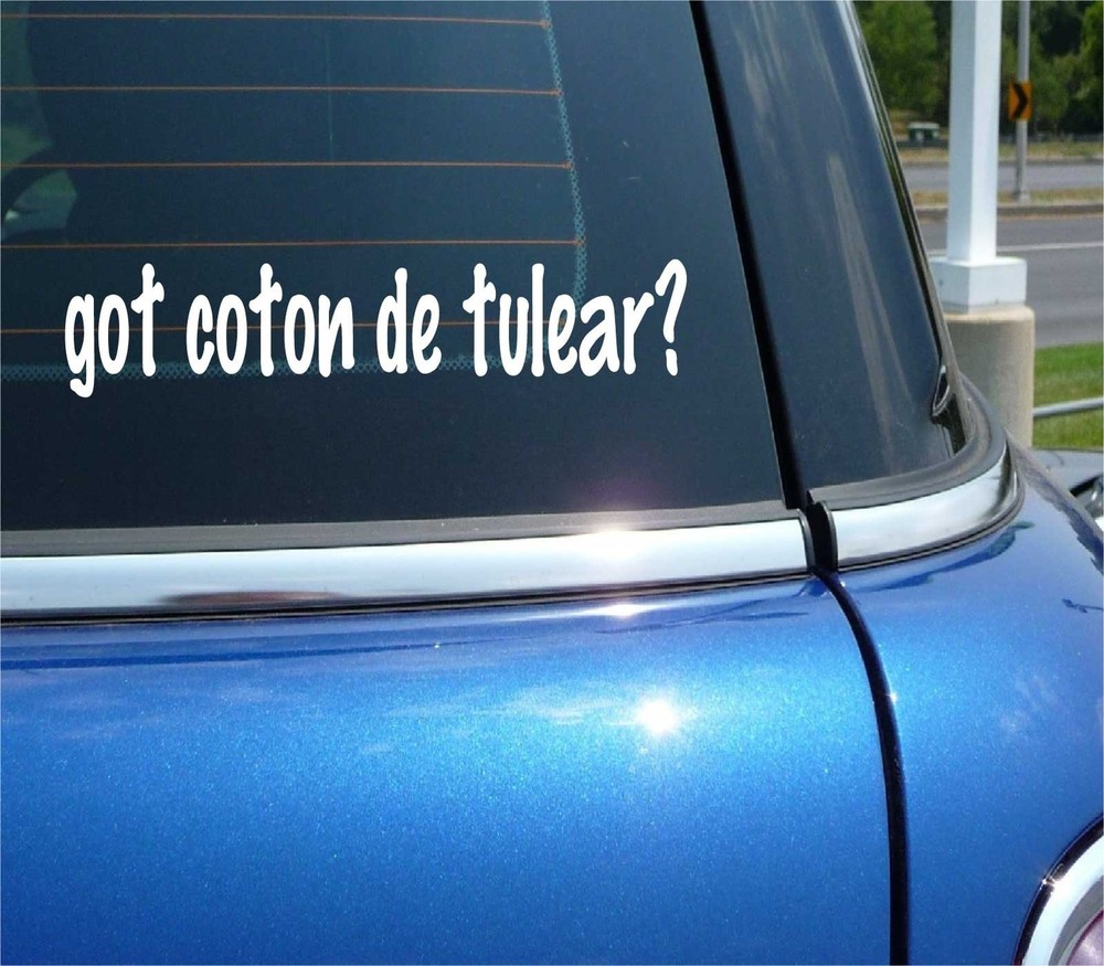 Coton de Tulear Dog Lover Car Bumper Sticker Vinyl Decal