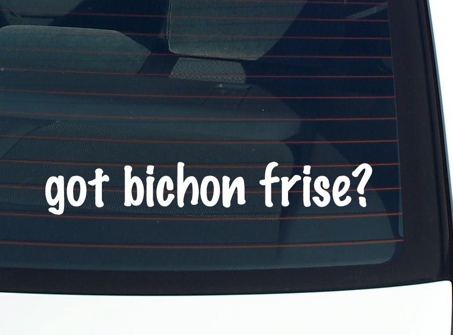 got bichon frise? CAR DECAL BUMPER STICKER VINYL FUNNY JOKE WINDOW