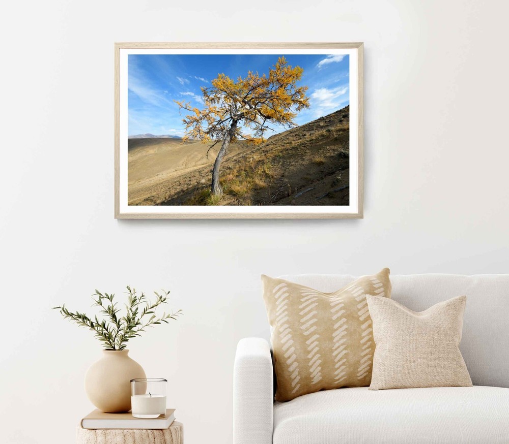 Autumn Altai Mountain View at Sunny Day Poster Premium Quality Choose your Size