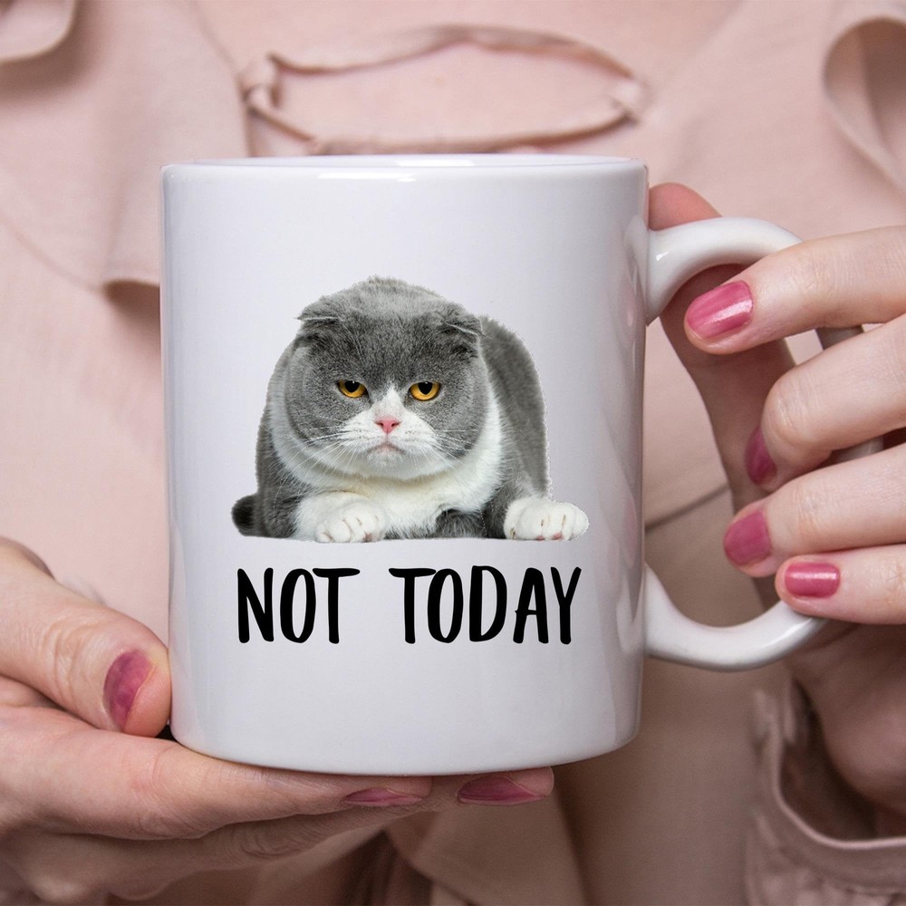 Funny Scottish Fold Cat Lilac Not Today Cat Mug Lazy Gift For Cats Lovers Coffee