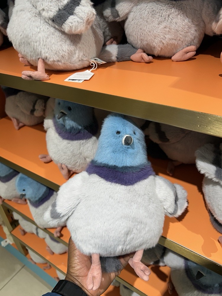 JELLY CATS STRUTTON PIGEON. NWT. AUTHENTIC❗️|| EXCLUSIVE. FAO SCHWARTZ