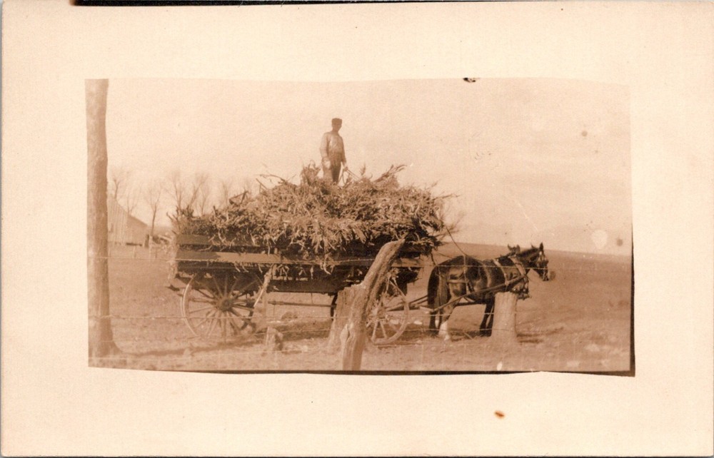 Farmer Stands Atop Hay Filled Horse Drawn Wagon c.1908-1924 RPPC Postcard 24054