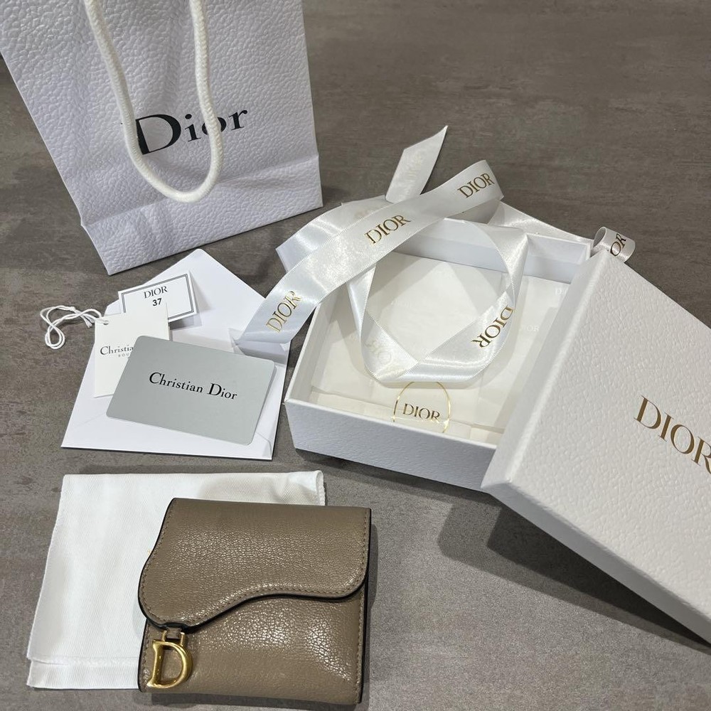 Dior Saddle Mini Wallet in Exclusive Limited Edition Color-image