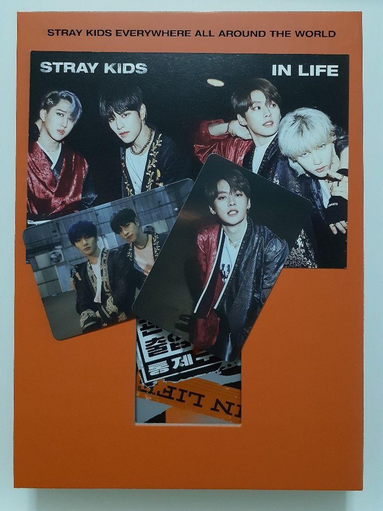 Stray Kids Album In Life