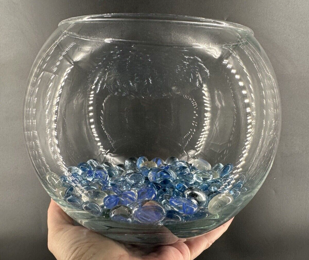 LG 8x7 Glass Fish Bowl with GEMS Beta Terrarium Vase Flower Pot  
