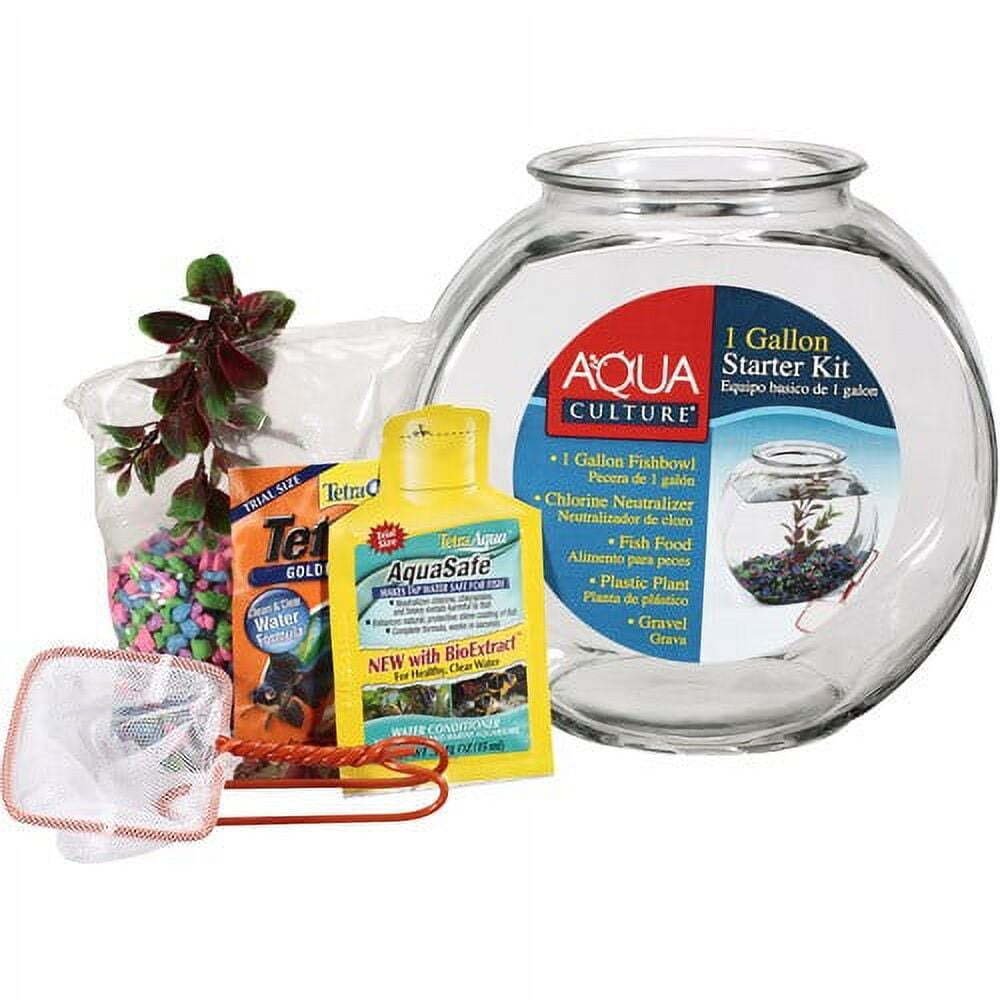 1-Gallon Glass Fish Bowl with Starter Kit for Beginners