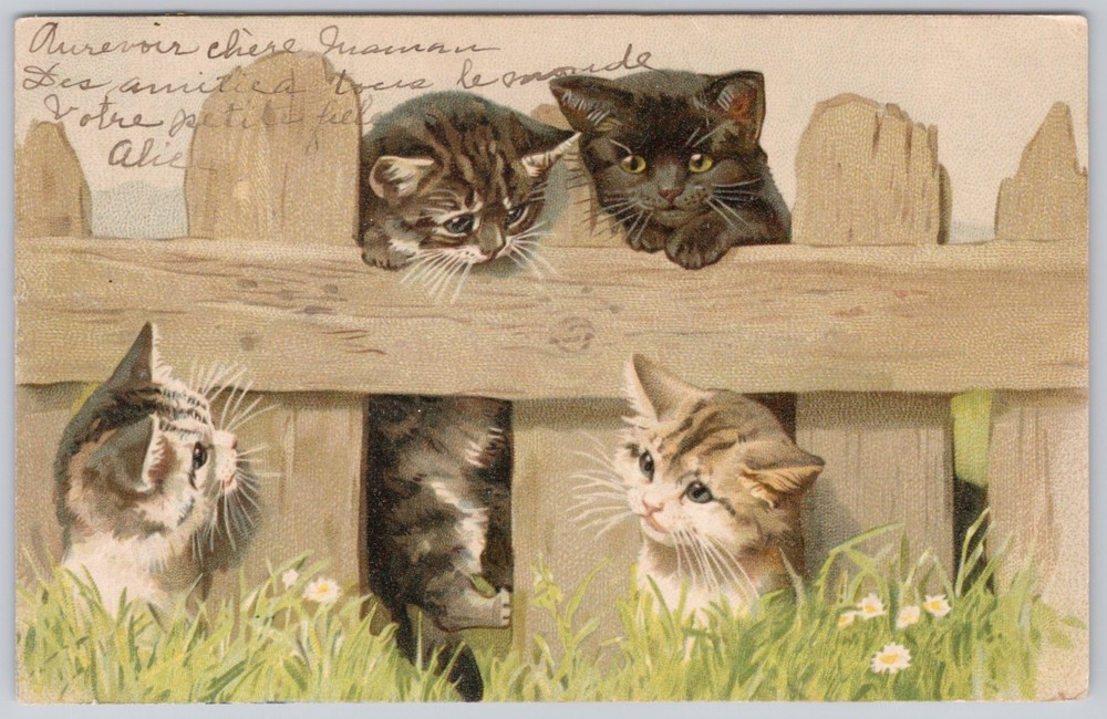 Cute Kitten Cat Animal Art Antique Postcard Divided Back VTG