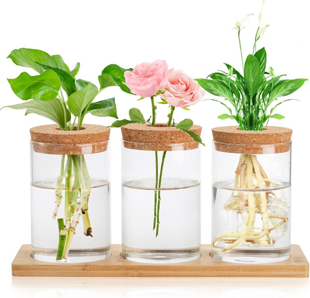 H&E 3-Piece Clear Glass Plant Terrarium Propagation Station Jars
