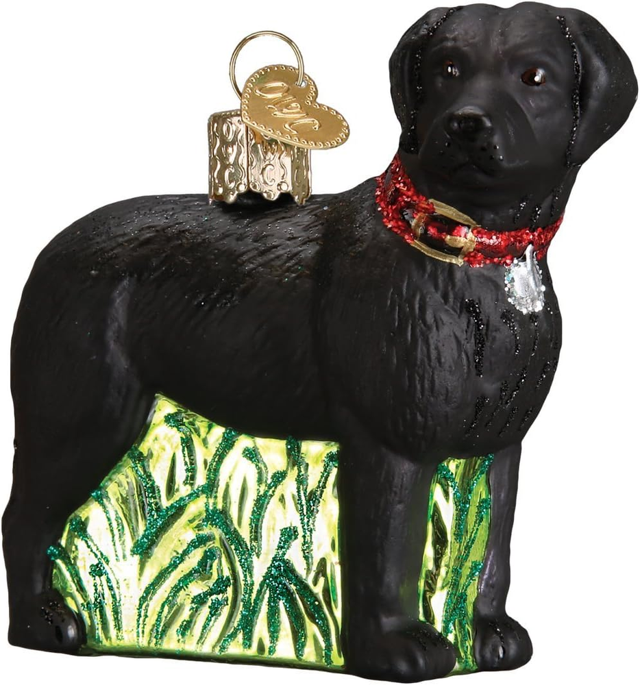 Dog Collection Glass Blown Ornaments for Christmas Tree, St