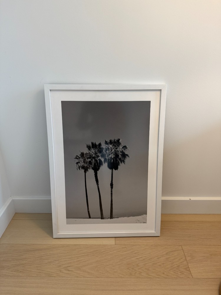 Black & White Palm Tree Framed Print