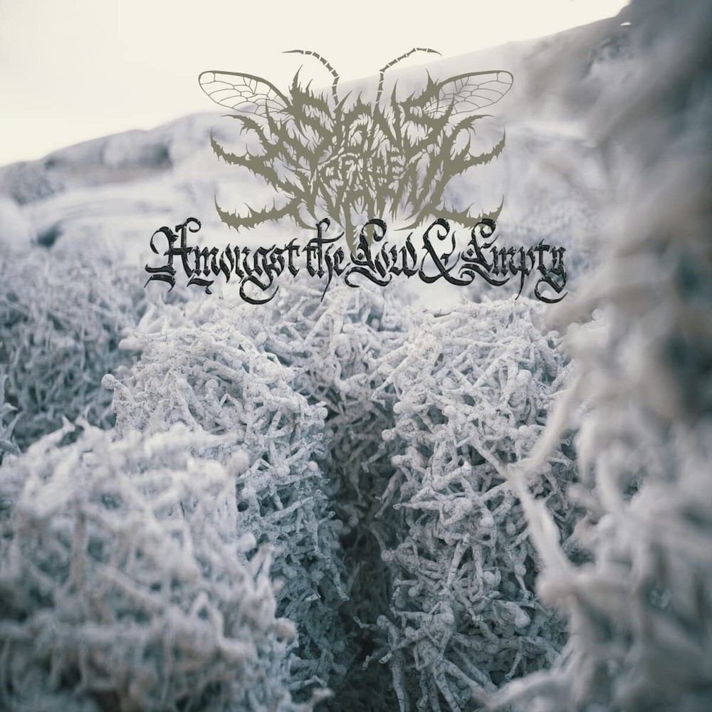 Signs of the Swarm Amongst the Low & Empty (CD) Album