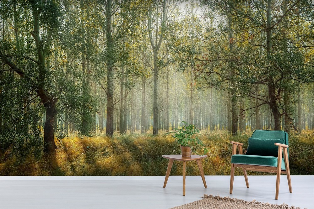 3D Forest Sunshine Landscape Wall Murals Wallpaper Murals Wall Sticker 2