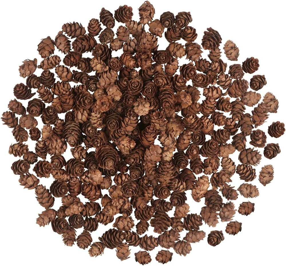 200PCS Christmas Natural Pine Cones Mini Fall Decorations Pinecones Ornaments Bu