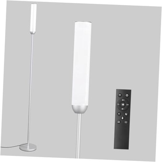 LED Floor Lamp with Remote Control, 65
