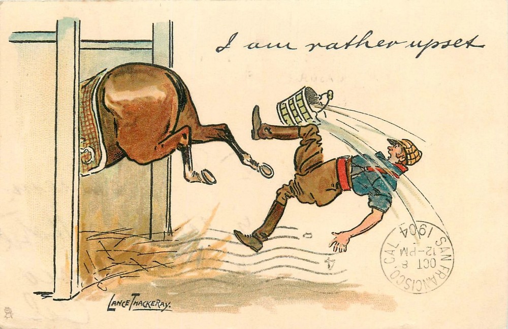 1904 Thackery Horse kick comic humor Tuck #643 Postcard 25-10141