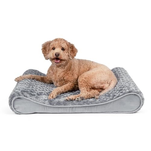 Orthopedic Dog Bed for Small to Medium Dogs with Removable Gray Cover 20x30x5 Inches  