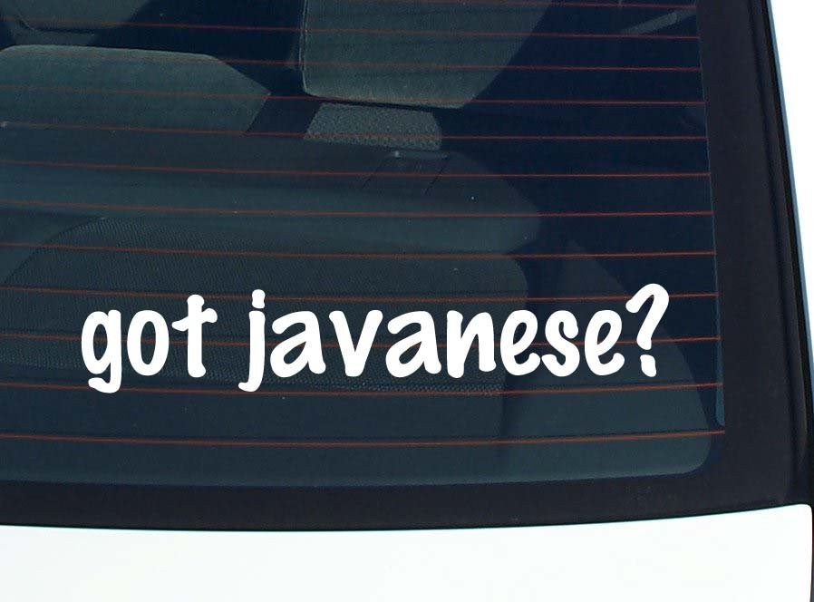 Got Javanese Funny Car Decal Bumper Sticker Vinyl Window Joke