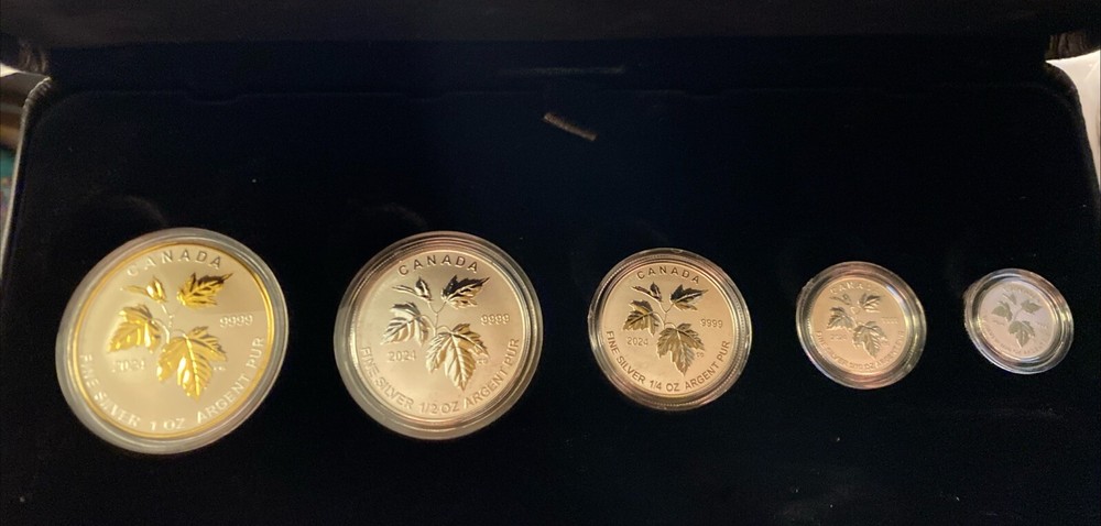 🍁 2024 Canada Autumn Beauty Silver Maple Leaf 1.9 oz SML Fractional 5-Coin Set