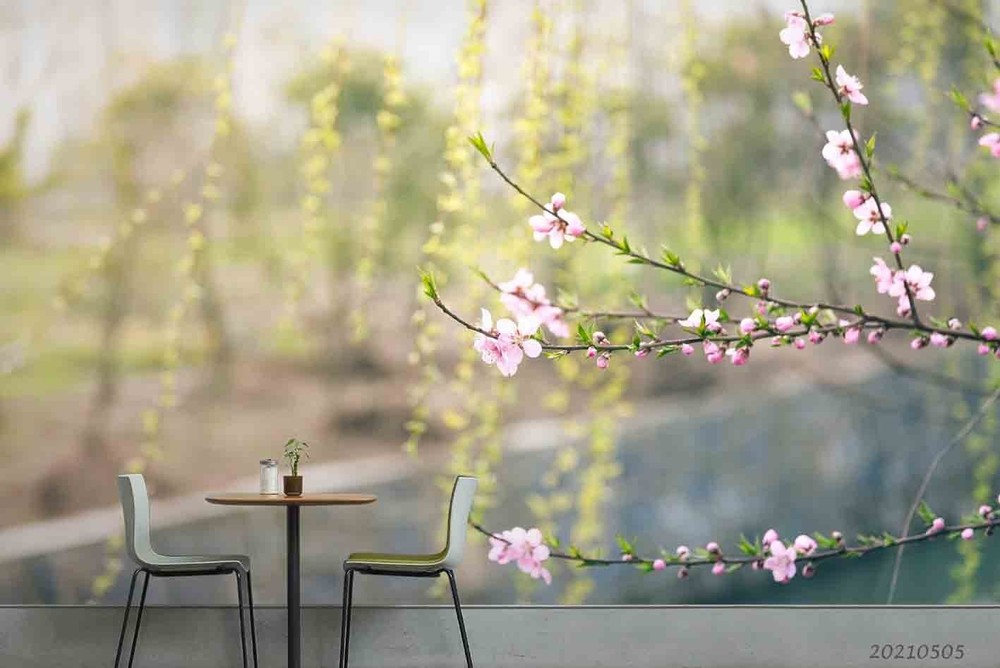 3D Pink Flowers Plants Close-up Wall Murals Wallpaper Murals Wall Sticker 5