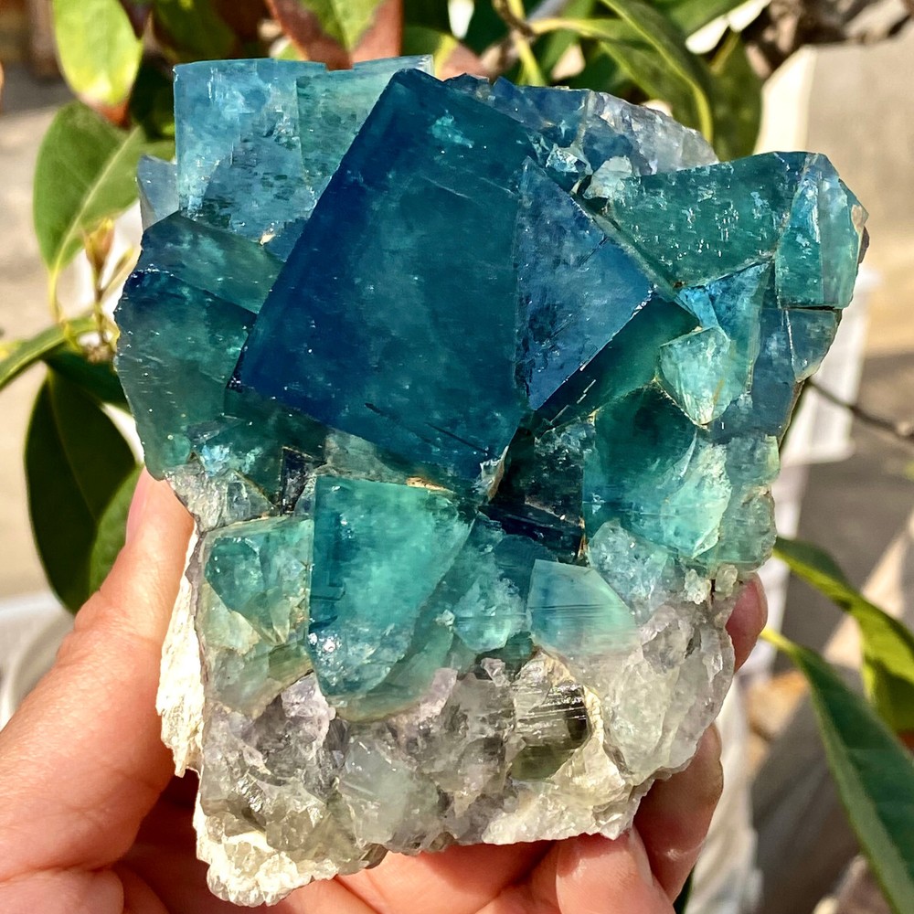 1.63LB Natural super beautiful green fluorite crystal ore sample restoration