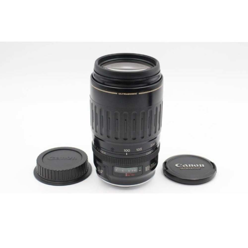 Canon EF 100-300mm USM Telephoto Zoom Lens for EOS DSLR Cameras Used