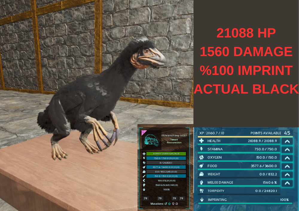 Therizinosaur 1560 DMG 21088 HP %100 & EGGS Ark Survival Ascended Official PVE