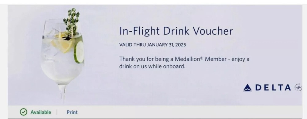 Delta Airlines Drink Voucher/Coupon - Exp 1/31/2025-image