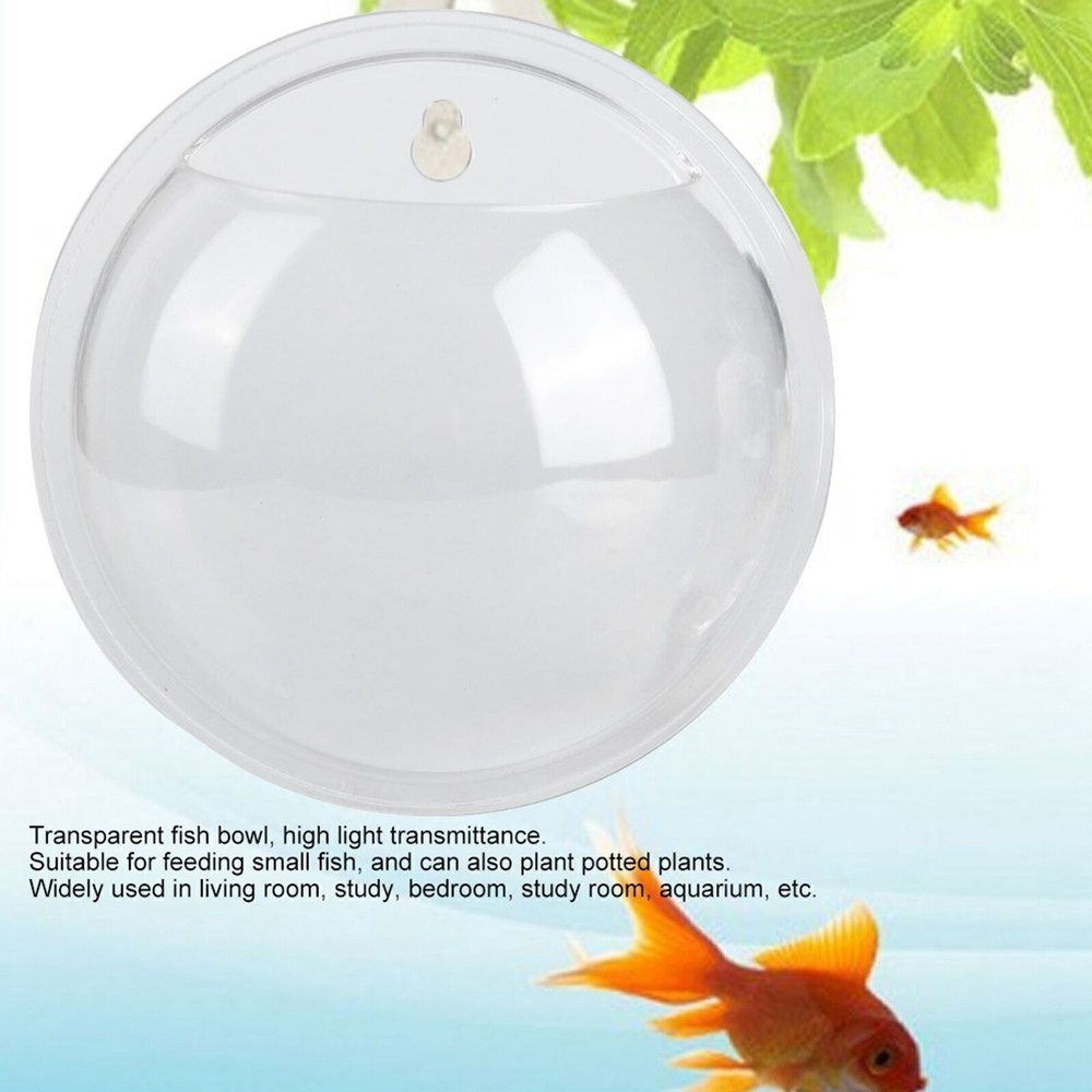 Mini Wall Mounted Transparent Acrylic Fish Bowl Aquarium