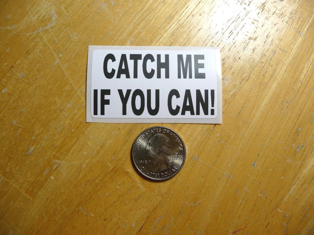 Catch Me If You Can Sticker Decal - Bulk Pack 1-50 Available