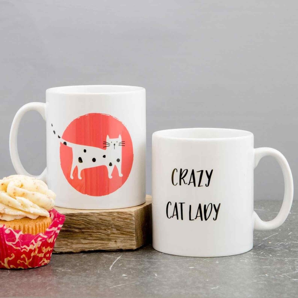 Peronalised Crazy Cat Lady Mug Featuring Their Car In Own Design Gift For Cat Pe