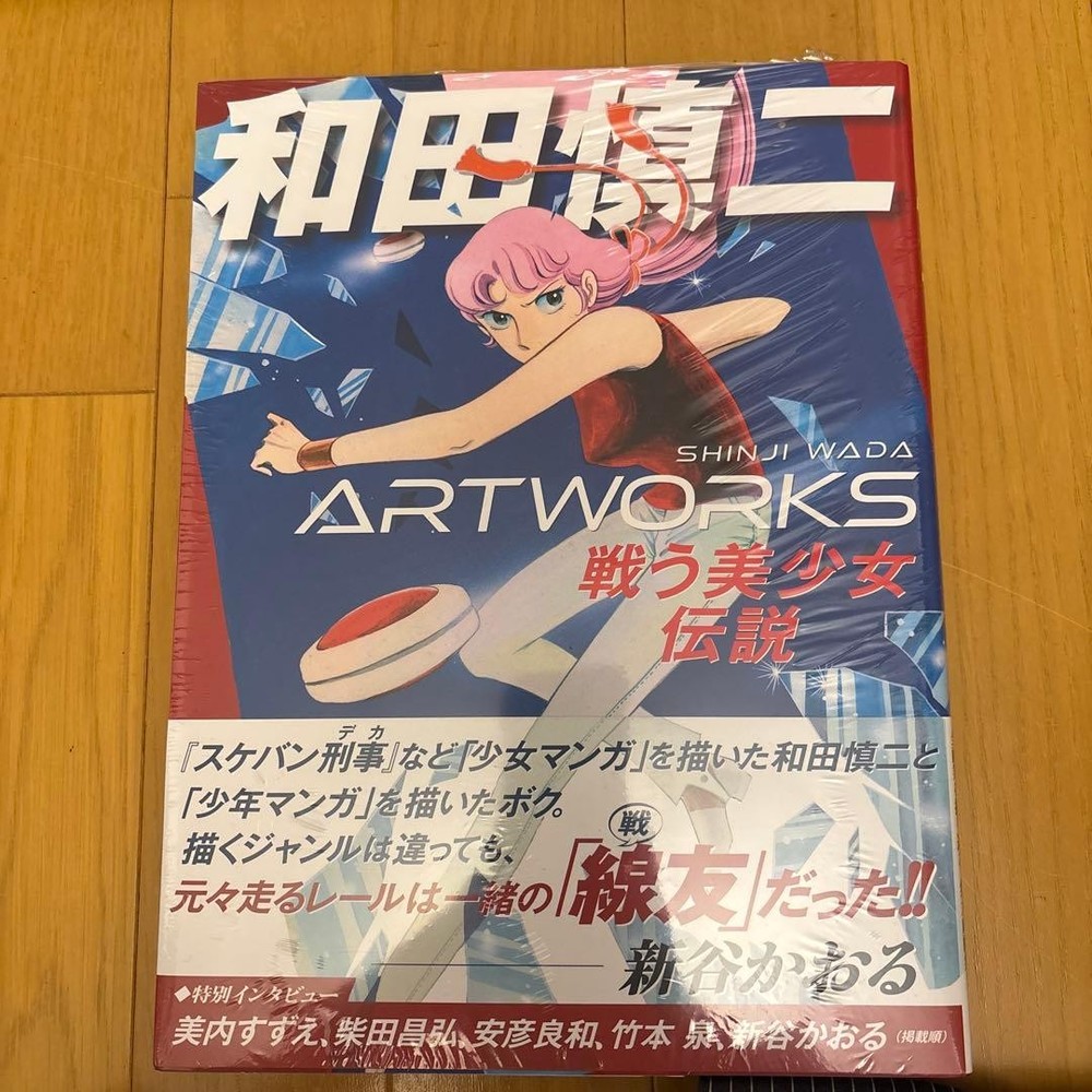 Shinji Wada ARTWORKS Fighting Beautiful Girl Legend
