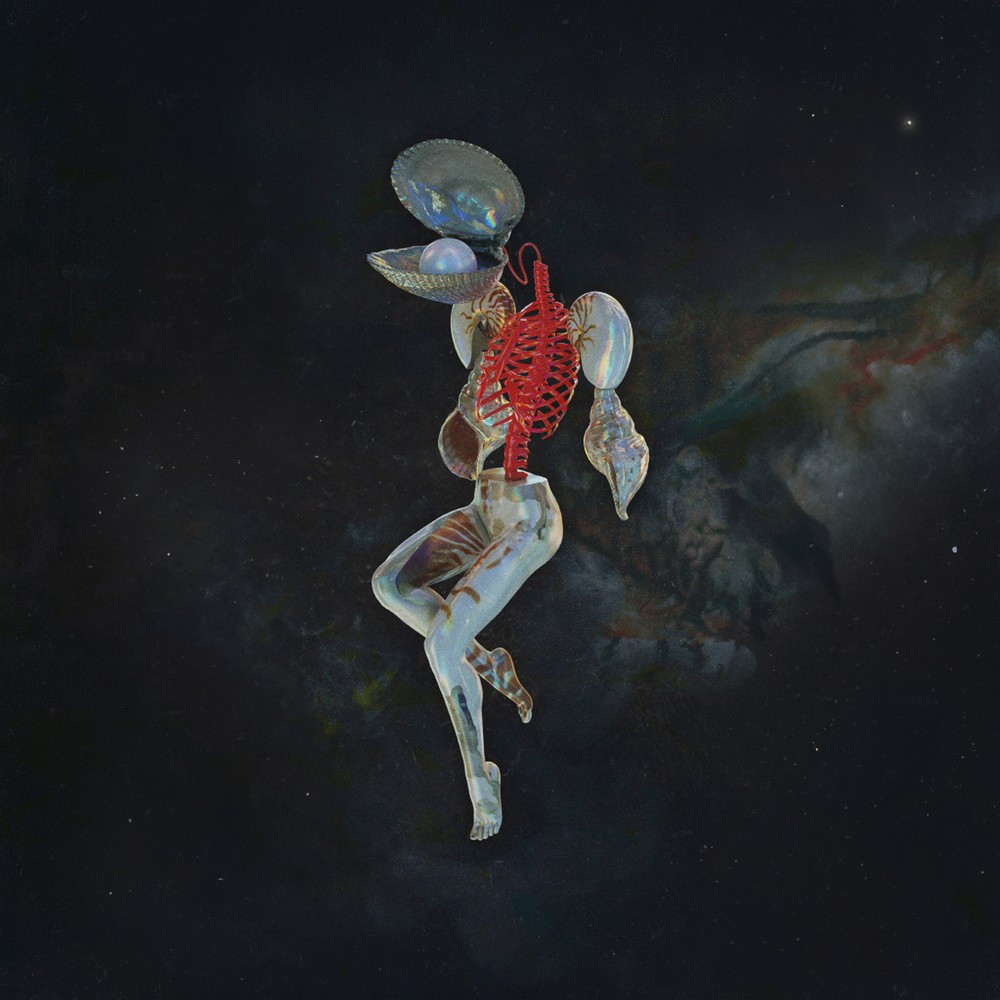 Hail Spirit Noir Fossil Garden (Vinyl) 12