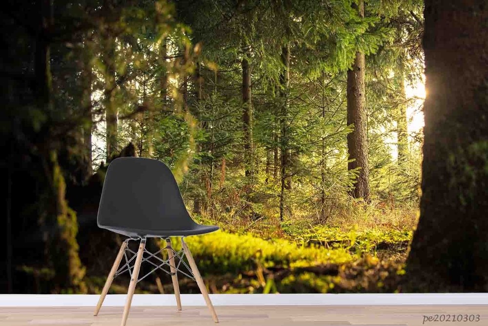 3D Forest Sunshine Landscape Wall Murals Wallpaper Murals Wall Sticker