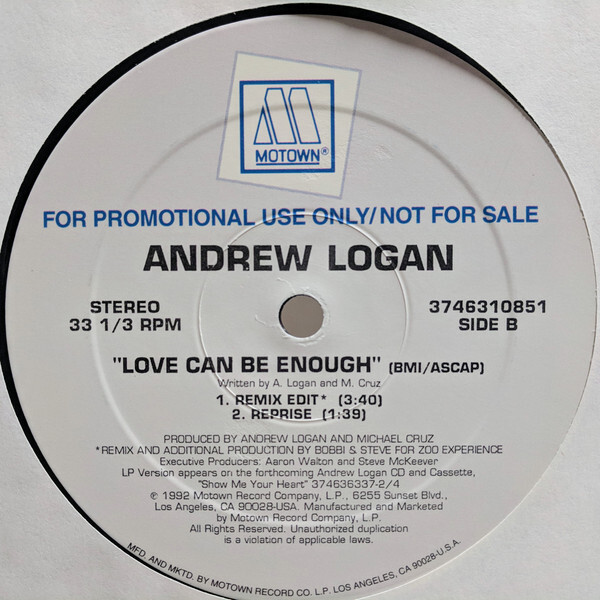 Andrew Logan - Love Can Be Enough - Used Vinyl Record 12 - Promo - T16280A