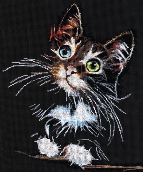 Fluffy 33x35cm Black Aida 14ct cross stitch needlepoint kit