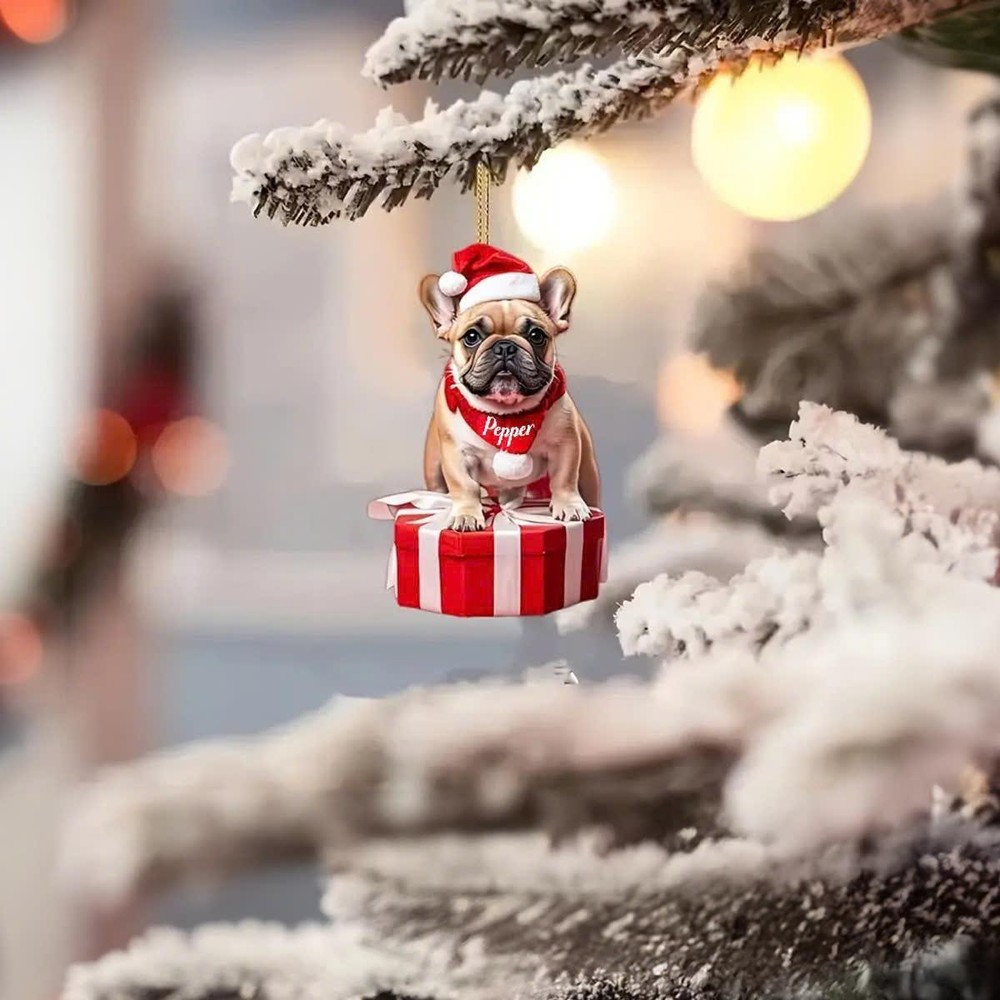 Custom Adorable Bulldog Acrylic Hanging Decor  Personalized Names  2D Acrylic Ac