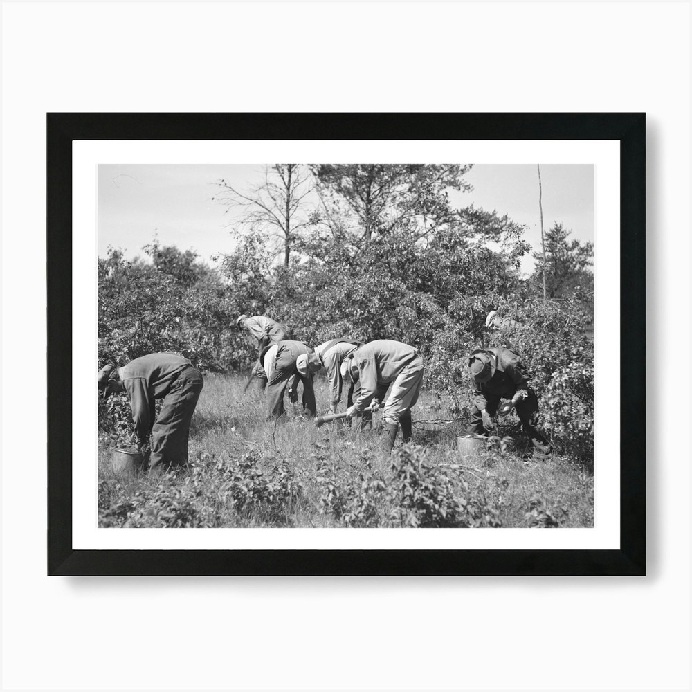 Black River Falls Tree Planting Framed Wall Art Canvas Print  