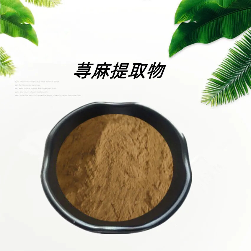 500g Organic Stinging Nettle Root 30:1 Extract Powder for Health