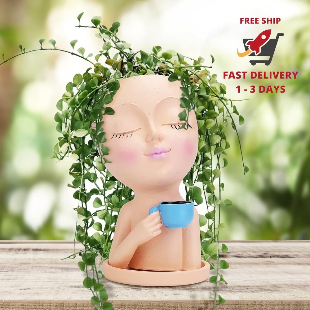 Macetas con forma de cara, macetas con forma de cabeza para suculentas