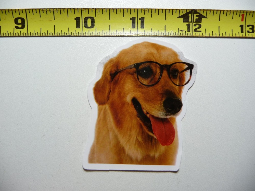 Funny Labrador Retriever Glasses Sticker Decal for Pets and Puppies