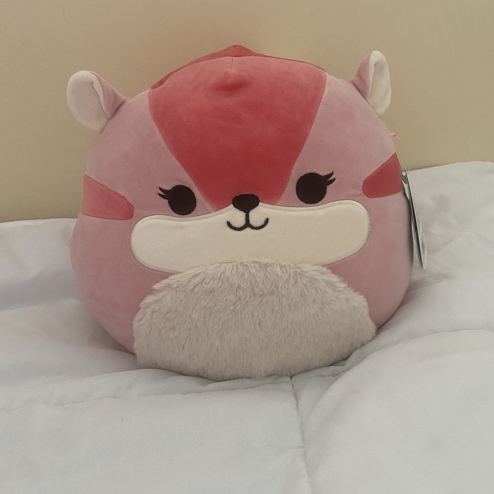 Squishmallows Dianalee the Squirrel 11