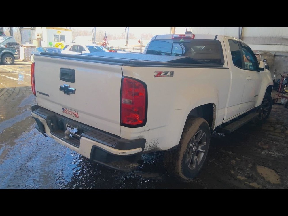 Local Pickup Only - Trunk Hatch Tailgate with Assist for 2015-2019 Models