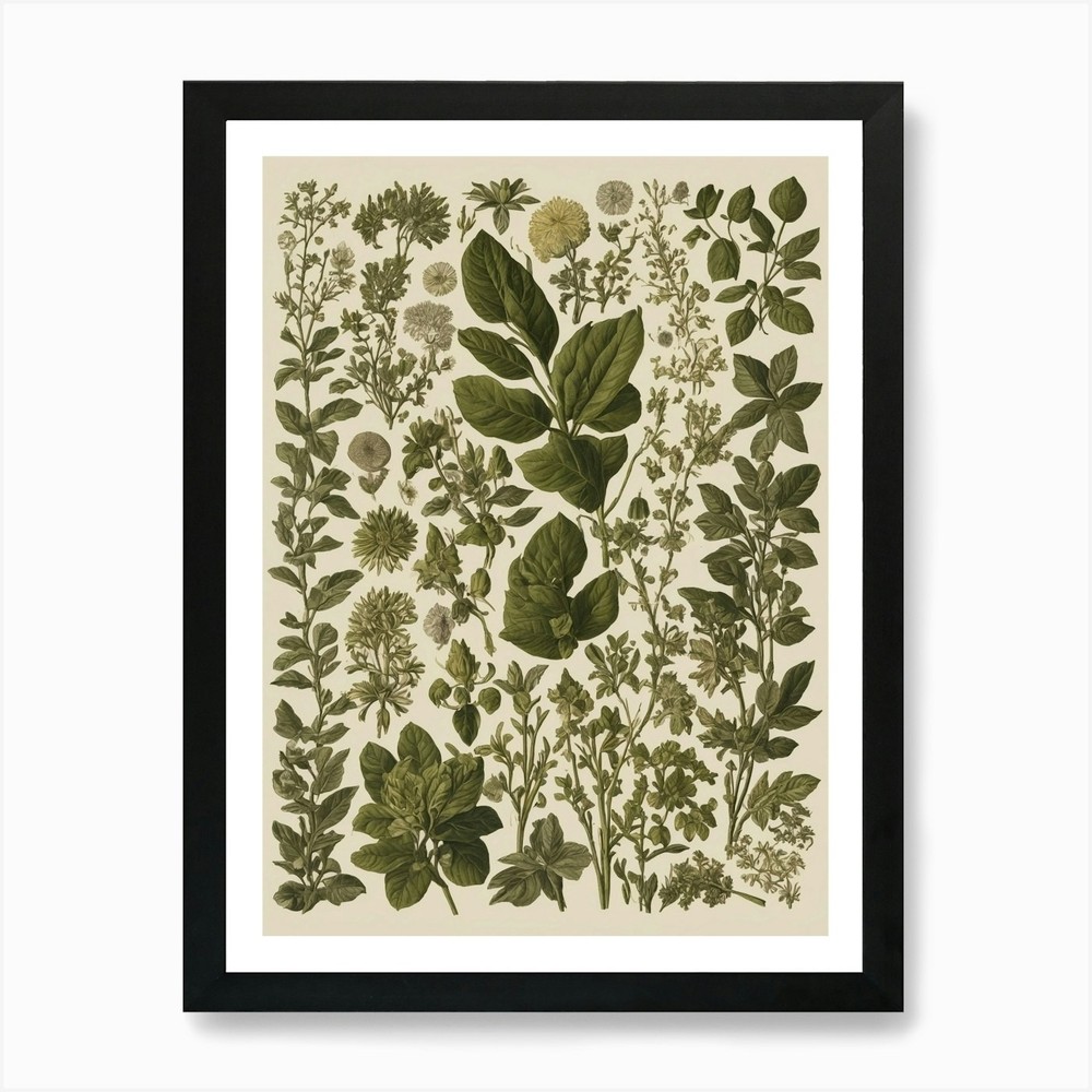 Botanical Print Art Print Framed Wall Art Poster Canvas Print Picture