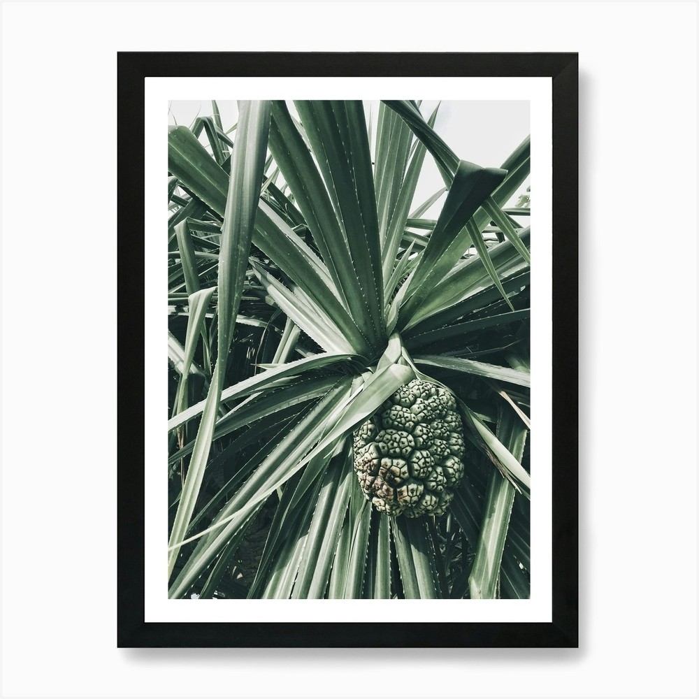 Palm Tree 8 Art Print Framed Wall Art Poster Canvas Print Picture