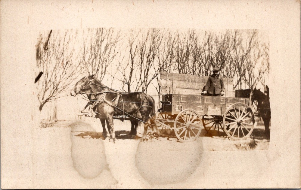 Man Stands Horse Drawn Buckboard Wagon c.1904-1920s Vintage RPPC Postcard 24058